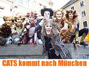 Das Deutsche Theater holt Andrew Lloyd Webbers Welterfolg Cats an die Isar (Foto: Martin Schmitz)