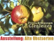 Alte Apfelsorten imFreilichtmuseumGlenleiten(Foto: Bezirk Oberbayern)