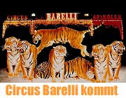 Circus Barelli kommt (Foto: Barelli)