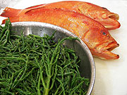 ...rote Erdbeergrouper und gr&uuml;ner Salicornia (&copy;Foto: Marikka-Laila Maisel)