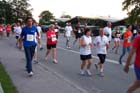 050727b2run_mlm2_245