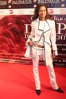 060909parfuem_premiere087