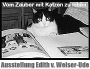 "Vom Zauber mit Katzen zu leben". Ausstellung der Fotografin Edith von Welser Ude ab 9.9. im Krumbad  (Foto: Edith v. Welser-Ude)