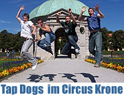 Tap Dogs im Circus Krone (Foto: Martin Schmitz)