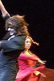 torero flamenco (Bild: Martin Schmitz)