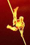 momix 2