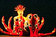 momix 5
