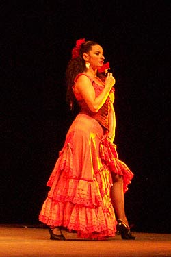 Carmen Flamenco Aufführung (©Foto: Martin Schmitz)