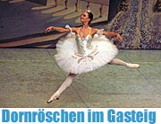 Ein Meisterwerk von Peter I. Tschaikowski im Carl Orff-Saal: das St. Petersburger Staatsballett mit Dornröschen (Foto: Ingrid Grossmann)