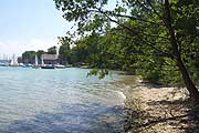 Ufer bei Bernried (Foto: Martin Schmitz)