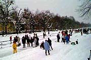 Eisstockschießen (Foto: Marikak-Laila Maisel)