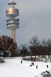 Rodeln am Olympiaberg (Foto: Martin Schmitz)