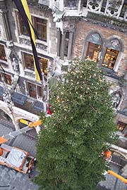 Am 17.12.2003 wurde die 26 m hohe Nordmanntanne aus Brixen aufgestellt (Foto: Martin Schmitz)