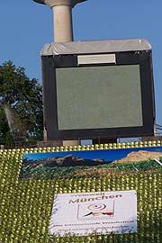 Rebstöcke den ganzen Hang hinauf (Foto. Martin Schmitz)