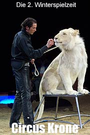 Die zweite Winterspielzeit des Circus Krone zeigt die Dressurschule eines Weißen Löwenjungen und Balanceakte der verschiedensten Art. Wir waren auf der Premiere am 1.2.2004 (Foto: Martin Schmitz)