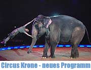 Die dritte Winterspielzeit des Circus Krone zeigt afrikanische Elefanten, friesische Hengste und wilde Löwen. Bei uns erfahren Sie alles zum Programm, das am 2.3.2004 mit einer Premiere startet. Anschliessend finden Sie hier auch die schönsten Premierenfotos (Foto: Marikka-Laila Maisel))
