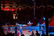 Circus Sambesi zu Gast bei Roncalli (Foto: Martin Schmitz)