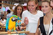 Papagei bei F2 (Bild: Marikka-Laila Maisel))