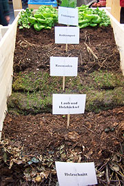 die richtige Alange eines Hockbeetes wird gezeigt (Foto: Martin Schmitz)