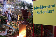Sonderschau "Mditerrane Gartenlust" (Foto: Martin Schmitz)