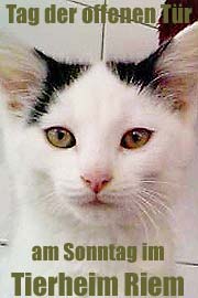 Tag der offenen Tür im Tierheim Riem (Foto: Marikka-Laila Maisel)