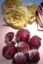 Radicchio Trevigiano und dem Radicchio di Castelfranco (Foto: Martin Schmitz)