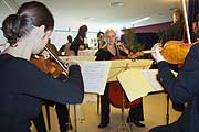Streichquartett des Richard Strauss Konservatoriums (Foto: Martin Schmitz)