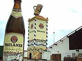 Paulaner vorm Winzeer Fähndl