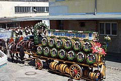 Rundfahrt des Augustiner Gespanns über den Schlachthof (Foto: Martin Schmitz)