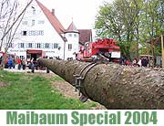 Der Obermenzinger Maibaum steht bereits seit dem 25.04.2004 (Foto: Martin Schmitz)