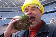 Rasen mit Biss - Selbstportrait Martin Schmitz im Stadion (Foto: Martin Schmitz)