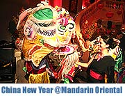 KUNG HEI FAT CHOI –Chinese New Year 2008 The Year of the Rat – Chinesisches Neujahrsfest im Luxushotel Mandarin Orienta (Foto: Martin Schmitz)