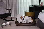 Aus Sir Henrys Wolters-Kollektion gibt es im Sofitel Munich Bayerpost Hundebetten aus Kunstleder, Decken und Futterstationen aus Teak (©foto. Martin Schmitz)