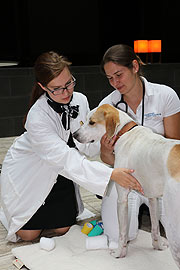 Bei Kreislaufproblemen  zunächst einmal den Herzschlag überpüfen.. (ƒoot. Martin Schmitz)