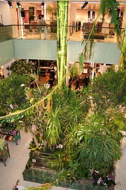 Dschungel Ambiente im  KARSTADT Oberpollinger (Foto: MartiN Schmitz)