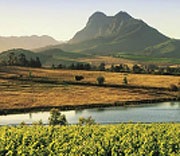 1. Preis: Weinreise nach Südafrika