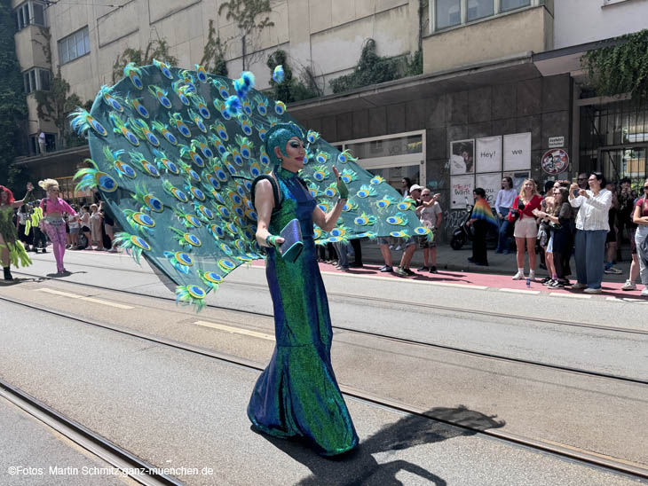 240622ms-csd005