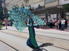 240622ms-csd005