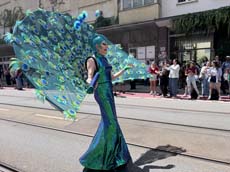240622ms-csd006