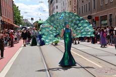 240622ms-csd008