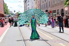 240622ms-csd009