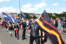 240622ms-csd019