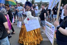 240622ms-csd030