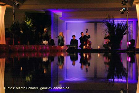 060810antenne_lousian22