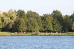 090823feldmochinger_see_30