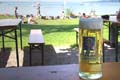 starnbergersee_lido_q03