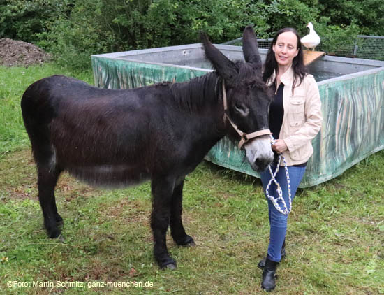 Jana Mandana Lacey_Krone mit Esel @ Preview Circus Krone-Farm in Weßling 200629krone_farm025.jpg