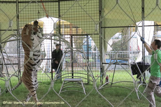 Preview Circus Krone-Farm in Weßling / 200629krone_farm056 ©Foto: Martin Schmitz, 29.06.2020 