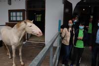 200629krone_farm004