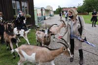 200629krone_farm016